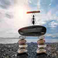 php用‍什​么‍软‍件​开‍发​